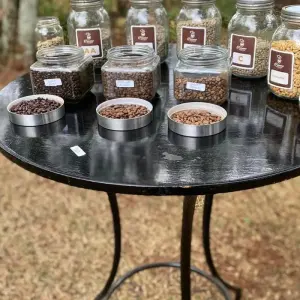 Explore Fairview Estate Coffee Farm Tour with Pick Up for 1 days with Gracepatt Ecotours Kenya and discover unforgettable experiences - Photo 5