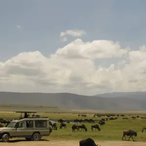Explore 5 Days Amboseli and Masai Mara Luxury Kenya Flying Safari for 5 days with Gracepatt Ecotours Kenya and discover unforgettable experiences - Photo 2