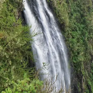 Explore 3 Days Princess to Queen Elizabeth Aberdare Luxury Safari for 3 days with Gracepatt Ecotours Kenya and discover unforgettable experiences - Photo 9