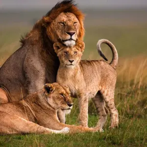 Explore 11 Days Kenya & Tanzania Birding & Big 5 High End Safari for 11 days with Gracepatt Ecotours Kenya and discover unforgettable experiences - Photo 10