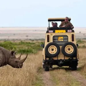 Explore 5 Days Amboseli and Masai Mara Luxury Kenya Flying Safari for 5 days with Gracepatt Ecotours Kenya and discover unforgettable experiences - Photo 4