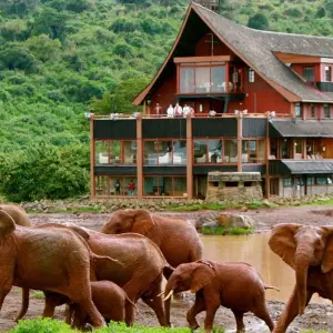 Explore 3 Days Princess to Queen Elizabeth Aberdare Luxury Safari for 3 days with Gracepatt Ecotours Kenya and discover unforgettable experiences - Photo 10