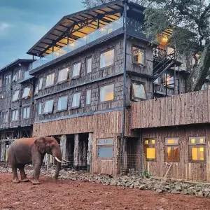Explore 3 Days Princess to Queen Elizabeth Aberdare Luxury Safari for 3 days with Gracepatt Ecotours Kenya and discover unforgettable experiences - Photo 11