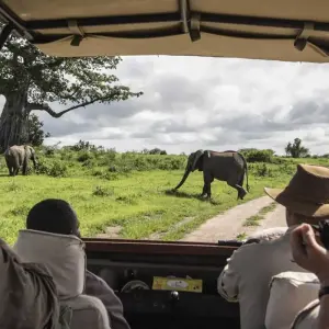 Explore 8 Days Masai Mara, Lake Manyara, Ngorongoro & Serengeti African Safari for 8 days with Gracepatt Ecotours Kenya and discover unforgettable experiences - Photo 5