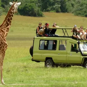 Explore 8 Days Masai Mara, Lake Manyara, Ngorongoro & Serengeti African Safari for 8 days with Gracepatt Ecotours Kenya and discover unforgettable experiences - Photo 7