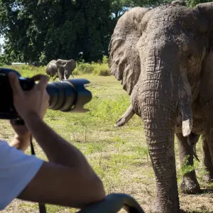 Explore 8 Days Masai Mara, Lake Manyara, Ngorongoro & Serengeti African Safari for 8 days with Gracepatt Ecotours Kenya and discover unforgettable experiences - Photo 11