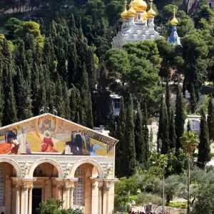 Explore Israel - The Peace Route for 5 days with Gray Line Israel and discover unforgettable experiences - Photo 6