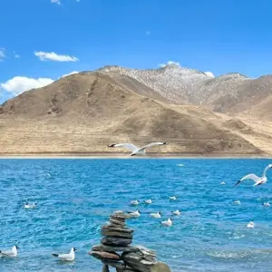 Explore 7 Days Lhasa Shigatse Everest Base Camp Sakya Private Tour for 7 days with Great Tibet Tour and discover unforgettable experiences - Photo 5