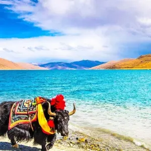 Explore 7 Days Lhasa Mt. Everest Kathmandu Overland Group Tour for 7 days with Great Tibet Tour and discover unforgettable experiences - Photo 5