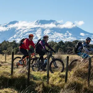 Explore Classic Cities & Coastal Highlights Tour for 10 days with Great Journeys New Zealand and discover unforgettable experiences - Photo 4