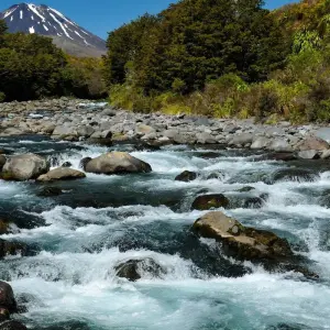 Explore Signature | Inspiring North Island Tour for 8 days with Great Journeys New Zealand and discover unforgettable experiences - Photo 4
