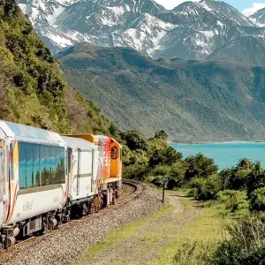 Explore Classic | New Zealand Highlights Tour for 15 days with Great Journeys New Zealand and discover unforgettable experiences - Photo 6