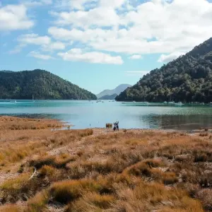 Explore Signature | Captivating Coast Tour for 6 days with Great Journeys New Zealand and discover unforgettable experiences - Photo 2