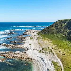 Explore Signature | Captivating Coast Tour for 6 days with Great Journeys New Zealand and discover unforgettable experiences - Photo 3