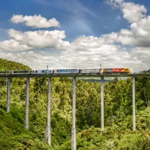 Explore Classic Cities & Coastal Highlights Tour for 10 days with Great Journeys New Zealand and discover unforgettable experiences - Photo 9