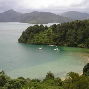 Explore Classic | Southern Highlights Tour for 11 days with Great Journeys New Zealand and discover unforgettable experiences - Photo 3