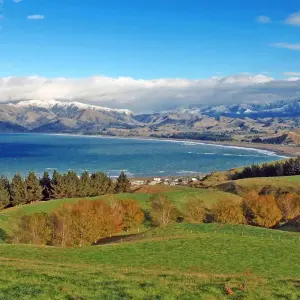 Explore Signature | Captivating Coast Tour for 6 days with Great Journeys New Zealand and discover unforgettable experiences - Photo 5
