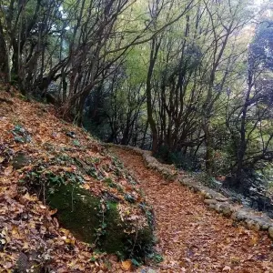 Explore Hiking in magnificent Meteora for 1 days with Greek Adventure and discover unforgettable experiences - Photo 2