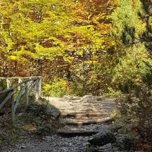 Explore Trekking to Olympus –Crossing the Enipea Gorge for 1 days with Greek Adventure and discover unforgettable experiences - Photo 2