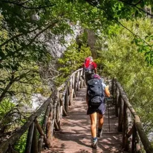 Explore Trekking to Olympus –Crossing the Enipea Gorge for 1 days with Greek Adventure and discover unforgettable experiences - Photo 5