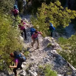 Explore Trekking to Olympus –Crossing the Enipea Gorge for 1 days with Greek Adventure and discover unforgettable experiences - Photo 7