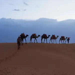 Explore 5 Days Sahara Desert Tour from Marrakech for 5 days with Guided Morocco Tours and discover unforgettable experiences - Photo 7