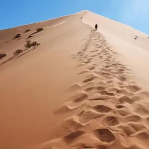 Explore 6 Days Tour from Casablanca to Marrakech via Fes & Desert for 6 days with Guided Morocco Tours and discover unforgettable experiences - Photo 4