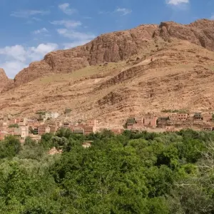 Explore 4 Days Desert Tour from Marrakesh to Fez for 4 days with Guided Morocco Tours and discover unforgettable experiences - Photo 6