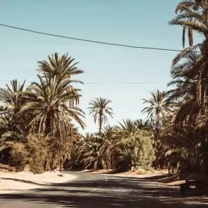 Explore 7 Days Sahara Desert Tour from Marrakech for 7 days with Guided Morocco Tours and discover unforgettable experiences - Photo 2