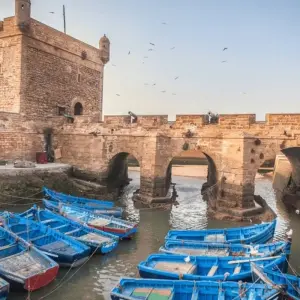 Explore 11 Day Private Tour from Fes - Imperial Cities & Desert for 11 days with Guided Morocco Tours and discover unforgettable experiences - Photo 7