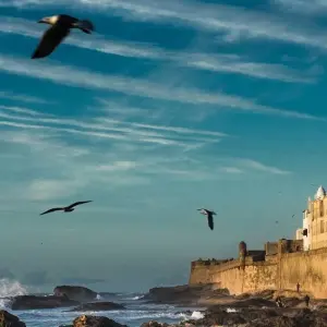 Explore 14 Day Private Tour From Casablanca for 14 days with Guided Morocco Tours and discover unforgettable experiences - Photo 8