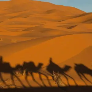 Explore 7 Days Sahara Desert Tour from Marrakech for 7 days with Guided Morocco Tours and discover unforgettable experiences - Photo 11