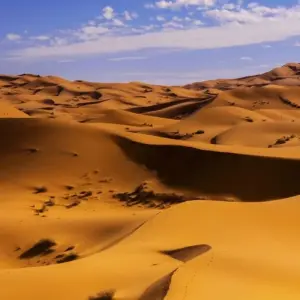 Explore 5 Days Desert Tour from Essaouira to Fes for 5 days with Guided Morocco Tours and discover unforgettable experiences - Photo 11