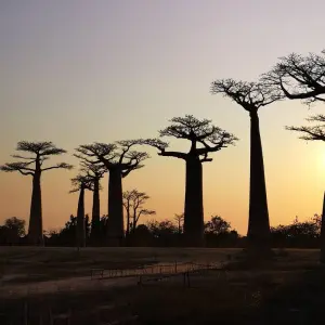 Explore Authentic tour for 10 days with HT Agency Tours and discover unforgettable experiences - Photo 4