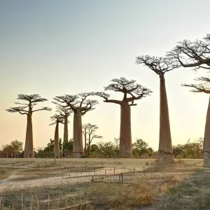 Explore Authentic tour for 10 days with HT Agency Tours and discover unforgettable experiences - Photo 5