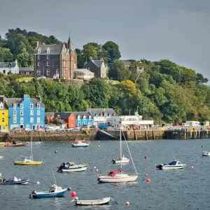 Explore Puffin Island Hopper for 4 days with Haggis Adventures and discover unforgettable experiences - Photo 9