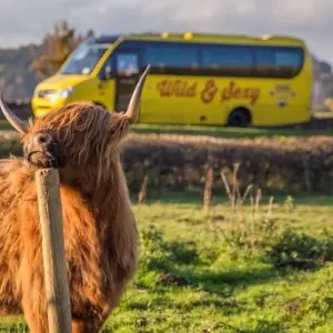 Explore Highland Fling for 5 days with Haggis Adventures and discover unforgettable experiences - Photo 10
