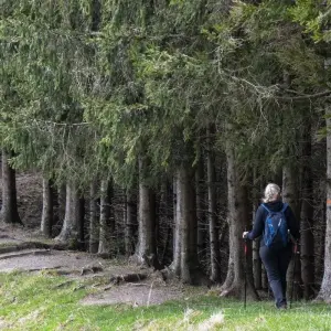 Explore Juliana Trail Southeast for 8 days with Helia Travel Agency and discover unforgettable experiences - Photo 2