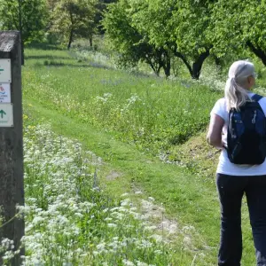 Explore Slovenia Turquoise River Walks for 8 days with Helia Travel Agency and discover unforgettable experiences - Photo 2