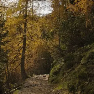 Explore Slovenia Julian Alps Peak Walk for 8 days with Helia Travel Agency and discover unforgettable experiences - Photo 2