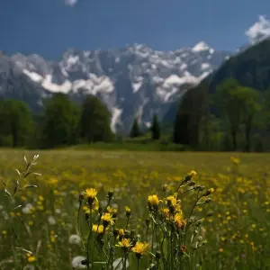 Explore Slovenia 9 Waters Walk for 8 days with Helia Travel Agency and discover unforgettable experiences - Photo 4