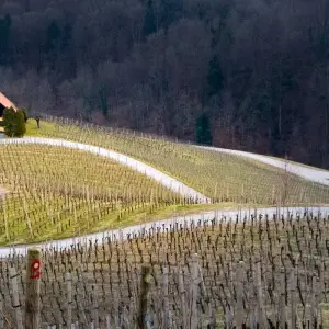Explore Slovenia Goldhorn Trail for 5 days with Helia Travel Agency and discover unforgettable experiences - Photo 6