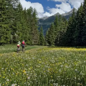 Explore National Park Ring MTB Tour (Slovenia) for 8 days with Helia Travel Agency and discover unforgettable experiences - Photo 2