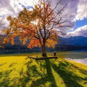 Explore Slovenia - 3 Lakes Walk for 5 days with Helia Travel Agency and discover unforgettable experiences - Photo 3