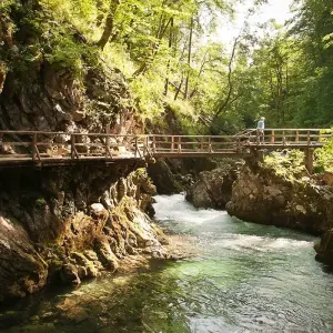 Explore Slovenia 9 Waters Walk for 8 days with Helia Travel Agency and discover unforgettable experiences - Photo 6