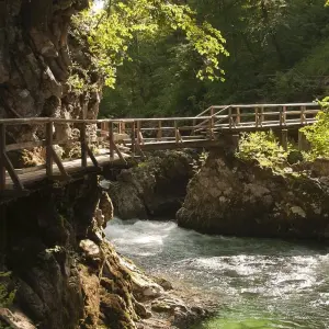 Explore Slovene Alpine Pearls for 8 days with Helia Travel Agency and discover unforgettable experiences - Photo 5
