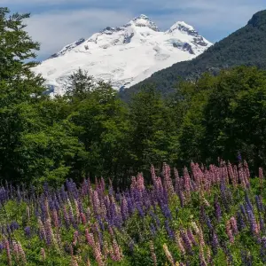 Explore Bariloche Self Drive (5 Days) for 5 days with Hi Travel Argentina and discover unforgettable experiences - Photo 2