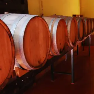 Explore Buenos Aires and Mendoza on a Budget (7 Nights) for 8 days with Hi Travel Argentina and discover unforgettable experiences - Photo 2