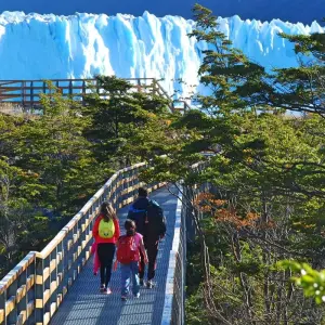 Explore Glaciers and Paine Adventure (4 Nights) for 5 days with Hi Travel Argentina and discover unforgettable experiences - Photo 8