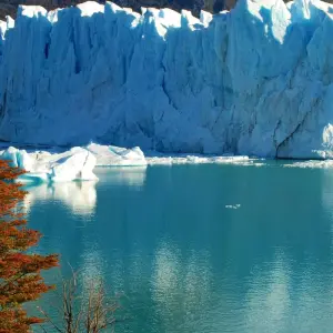 Explore Glaciers and Paine Adventure (4 Nights) for 5 days with Hi Travel Argentina and discover unforgettable experiences - Photo 9